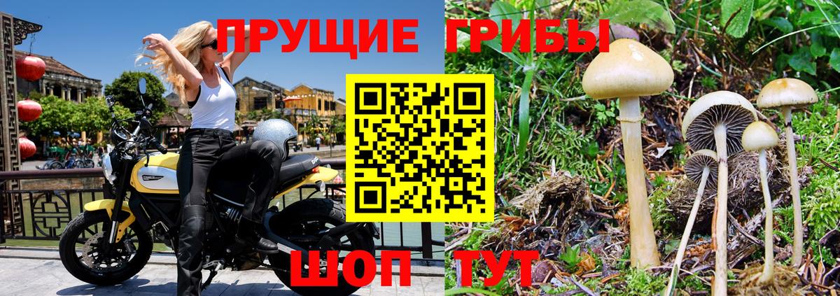 Псилоцибиновые грибы Magic Shrooms  Галлюциногенные грибы Magic Shrooms  Мариинск  Вход с VPN 