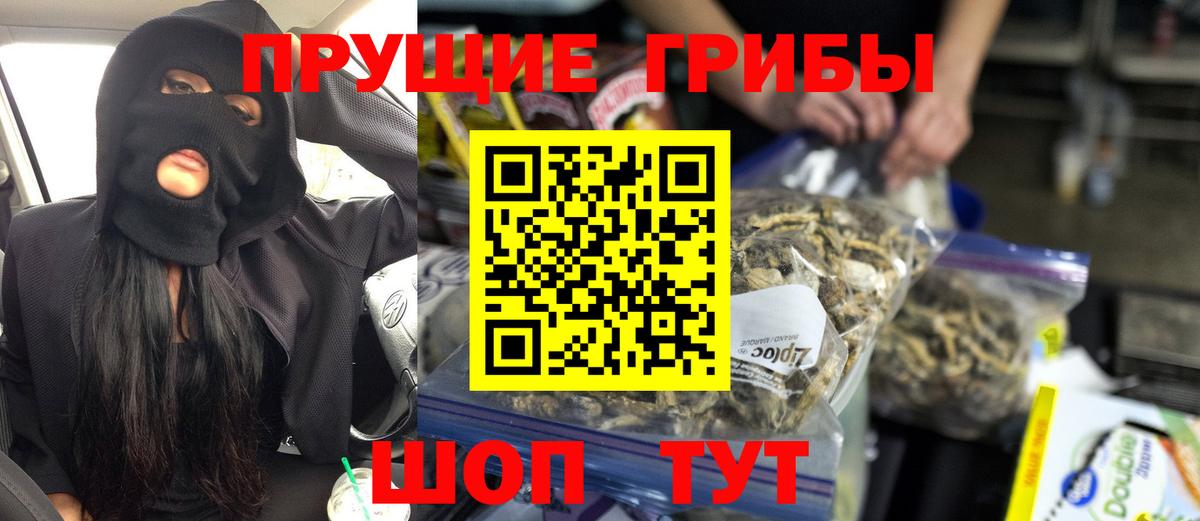 Галлюциногенные грибы прущие грибы Мариинск